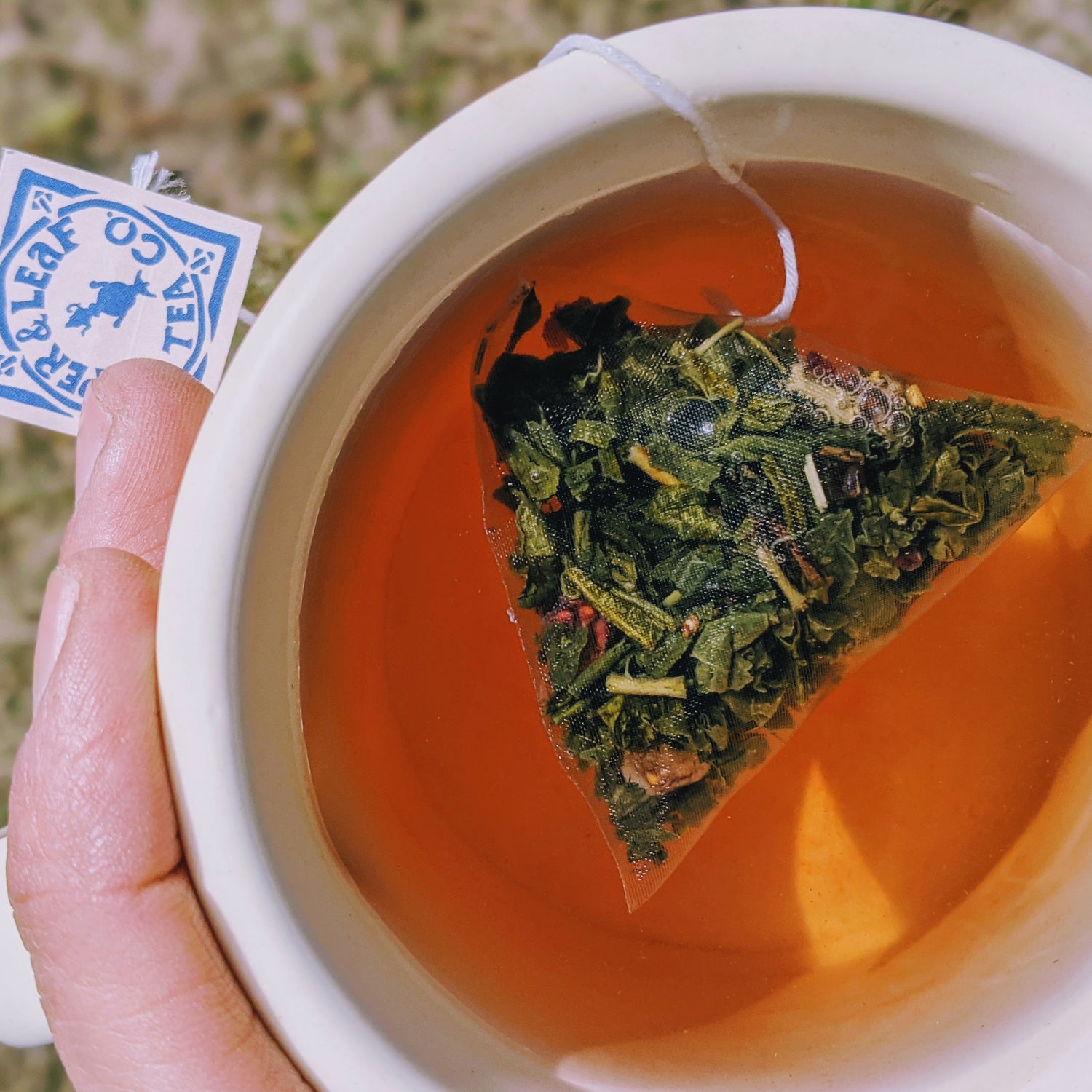 A hand holds a cup of tea with a triangular tea bag steeping inside; a tea bag label hangs over the rim.