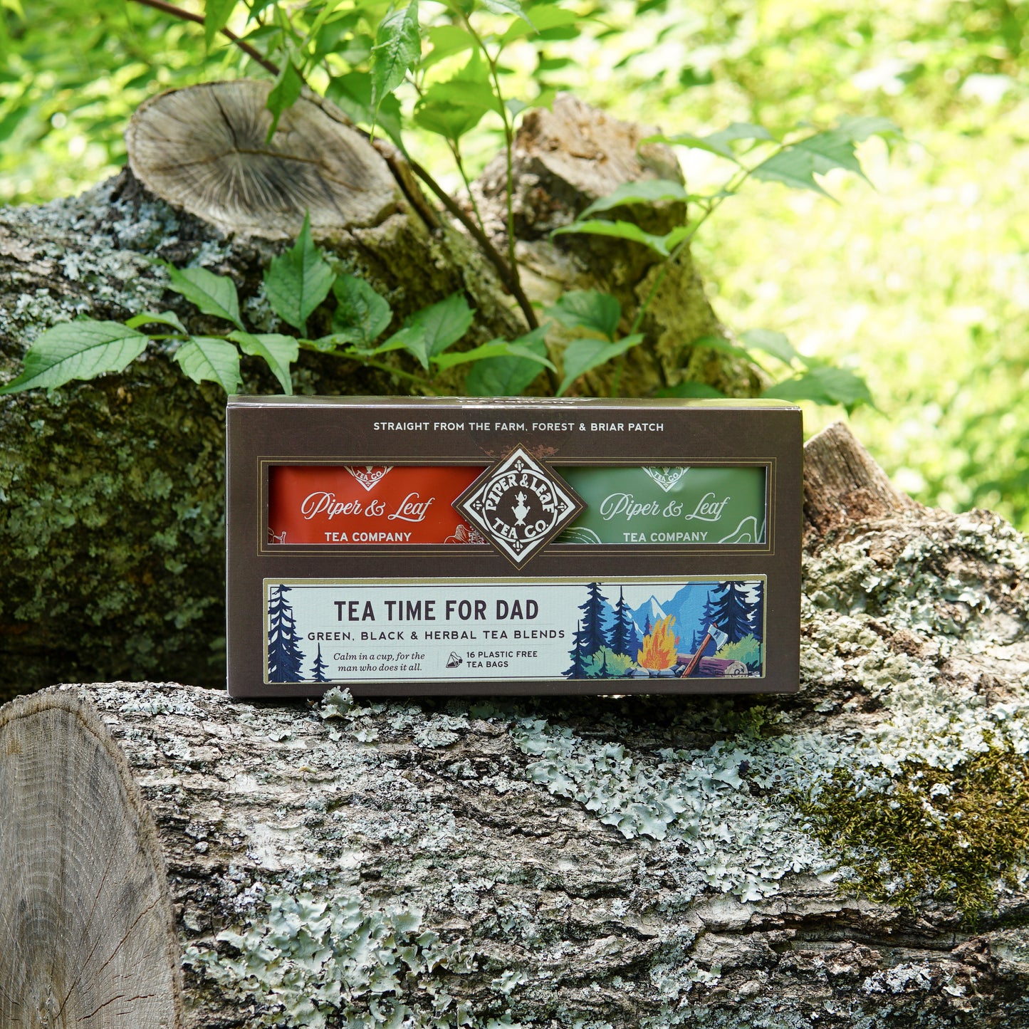 A Piper & Leaf Tea Co. "Tea Time For Dad" box of 16 individually wrapped tea bags sits on cut tree trunks among lush foliage and moss—an ideal Father’s Day tea gift.